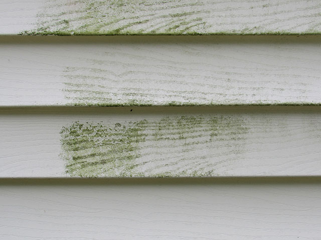 Pressure Washing Tips